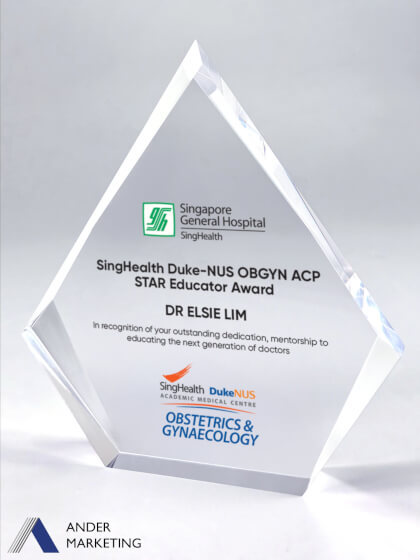 Acrylic Trophy Award Acrylic Trophy Award - Ander Marketing Singapore