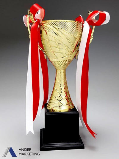 Trophy Awards - Ander Marketing Singapore