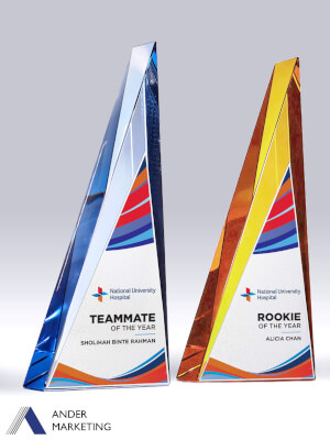 Crystal Trophy Award - CA-248 Ander Marketing Singapore