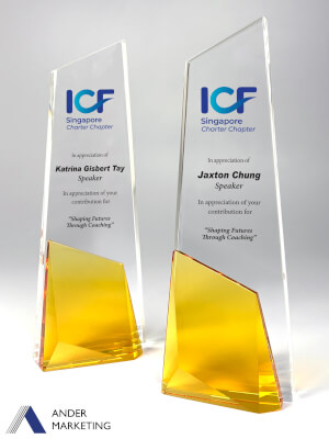 Crystal Trophy Award - CA-249 Ander Marketing Singapore