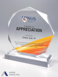 Acrylic Trophy Award - Ander Marketing Singapore