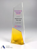 Crystal Trophy Award - Ander Marketing Singapore