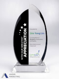 Crystal Trophy Award - Ander Marketing Singapore