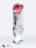 Crystal Trophy Award - Ander Marketing Singapore