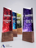 Modern Trophy Award - Ander Marketing Singapore