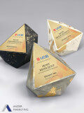 Modern Trophy Award - Ander Marketing Singapore