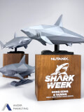 Custom Trophy Award - Ander Marketing Singapore